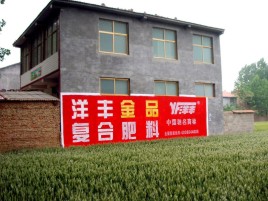 沐川如何让墙体广告展现最大化效果