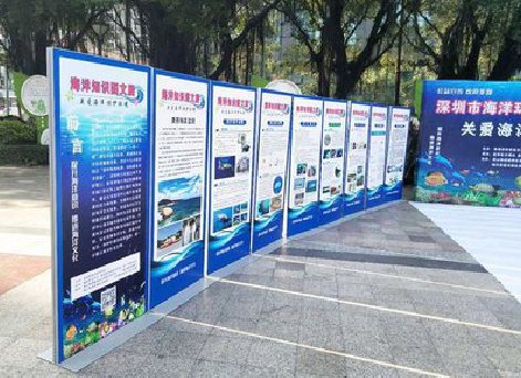 沐川KT板的种类和知识。